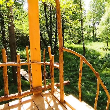 MikulášoviceTreehouse Lea公寓 外观 照片