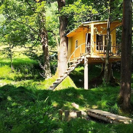 MikulášoviceTreehouse Lea公寓 外观 照片