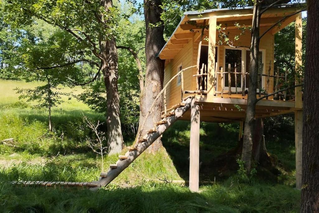 MikulášoviceTreehouse Lea公寓 外观 照片